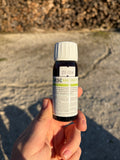 MACERAT DE BOURGEON DE FIGUIER – Gemmothérapie cheval – Stress et troubles digestifs - ESC Lab